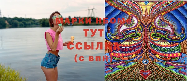 дживик Бородино