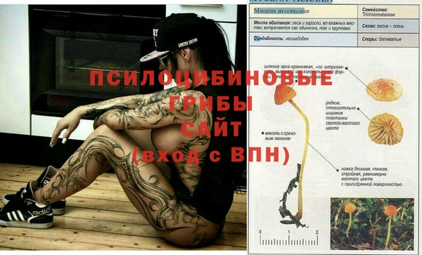 ГАЛЛЮЦИНОГЕННЫЕ ГРИБЫ Бронницы