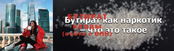 дживик Бородино