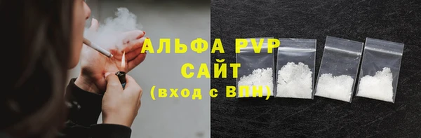 дживик Бородино
