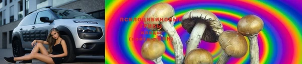 ГАЛЛЮЦИНОГЕННЫЕ ГРИБЫ Бронницы