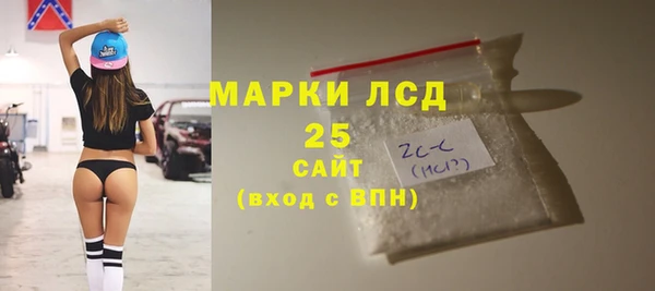 дживик Бородино