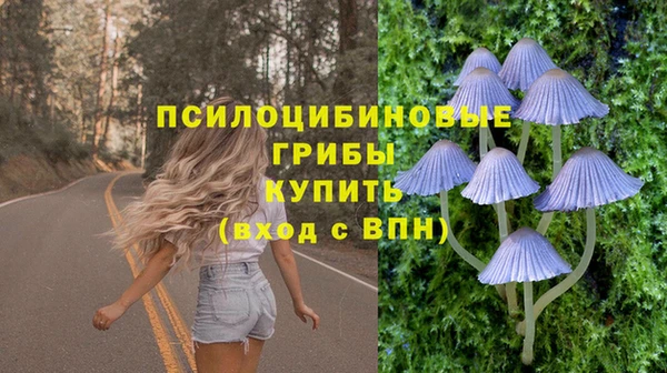 дживик Бородино