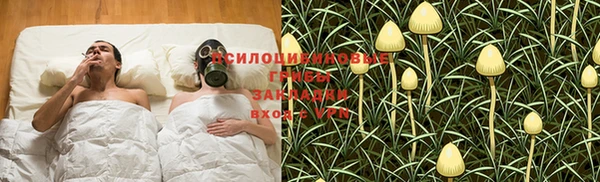 ГАЛЛЮЦИНОГЕННЫЕ ГРИБЫ Бронницы