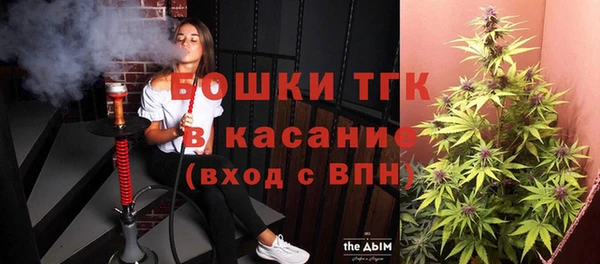 дживик Бородино