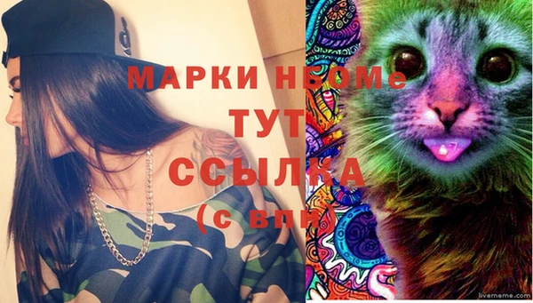 дживик Бородино
